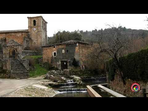 PADRONES DE BUREBA 2020