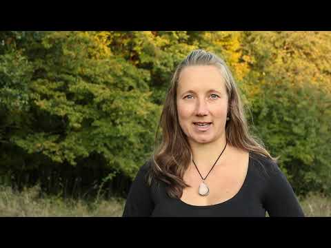 SÍLA SRDCE - Ponořte se do nitra a najděte svůj potenciál