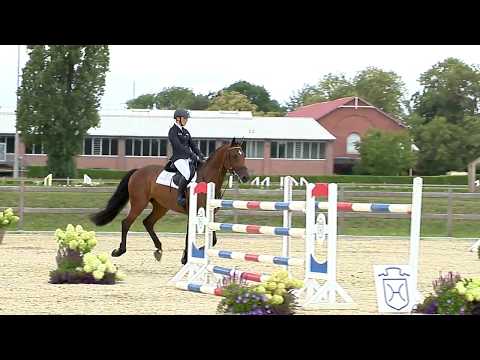 Holsteiner Elite-Reitpferdeauktion 2019 | Nr. 134 - Lavito v. Leovisto-Lorentin I