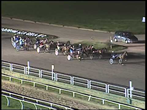 Trotto 16/12/2014 - 8° corsa