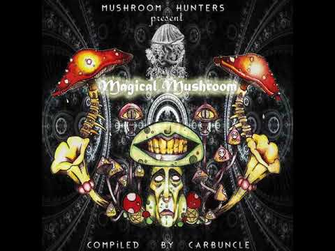 03 Shivattva - Trip on Nature