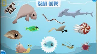 Kani Cove - Animal Jam Journey Book Cheat Guide