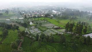 Download lagu Free Footage - Aerial video perkebunan teh #4 mp3