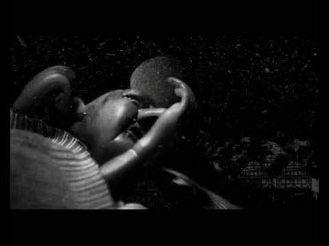 Schtimm: Songs from the red book