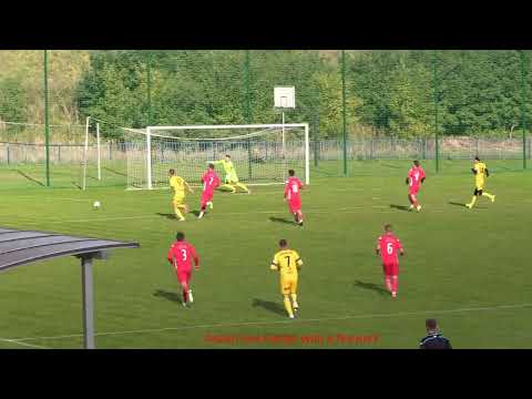 PIASKOVIA PIASKI - WISŁA PUŁAWY /KO /