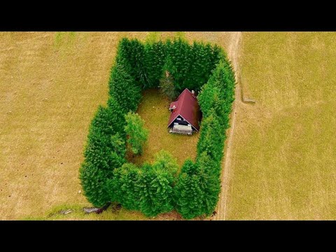 Watch: World's Most Well-Hidden Homes