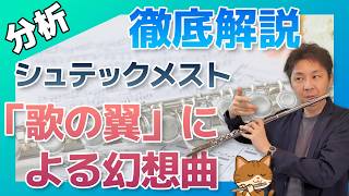 Download lagu #4【名曲アナリーゼ】シュテックメスト「『歌の翼』による幻想曲」フルートの楽曲、作品を徹底分析LIVE！ mp3