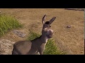 Shrek Really Really Loves Something