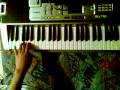 Wilder wein on keyboard- Rammstein 