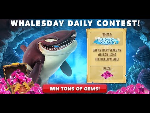 KILLER WHALE SHOAL BONUS LIVE CONTEST ! - Hungry Shark World 10th