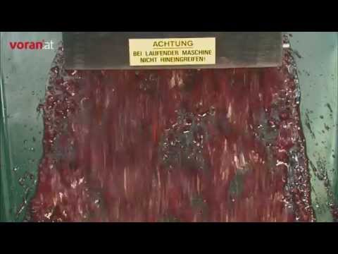 voran centrifugal mill RM5,5 - milling of cherries