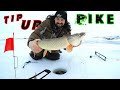 Video Thumbnail for Running Flags Big Pike Madness! Tip Up Fishing Northern Pike