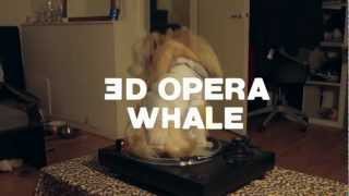 Buttonhead - '3D Opera Whale' - Album Release Trailer