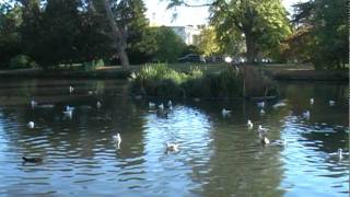 Tourist Romantic Ad For Gloucestershire