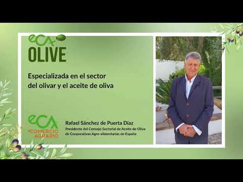 Fotograma del vídeo: Previsiones de campaña en el olivar español