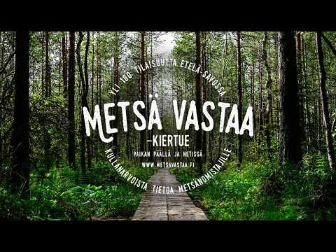 Metsä vastaa -  Metsätuhot ja niihin varautuminen - Osa 1