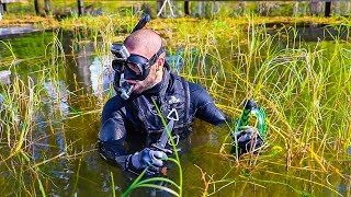 Treasure Hunting in SNAKE infested Lake!! (Secret Treasure) "Jiggin with Jordan"