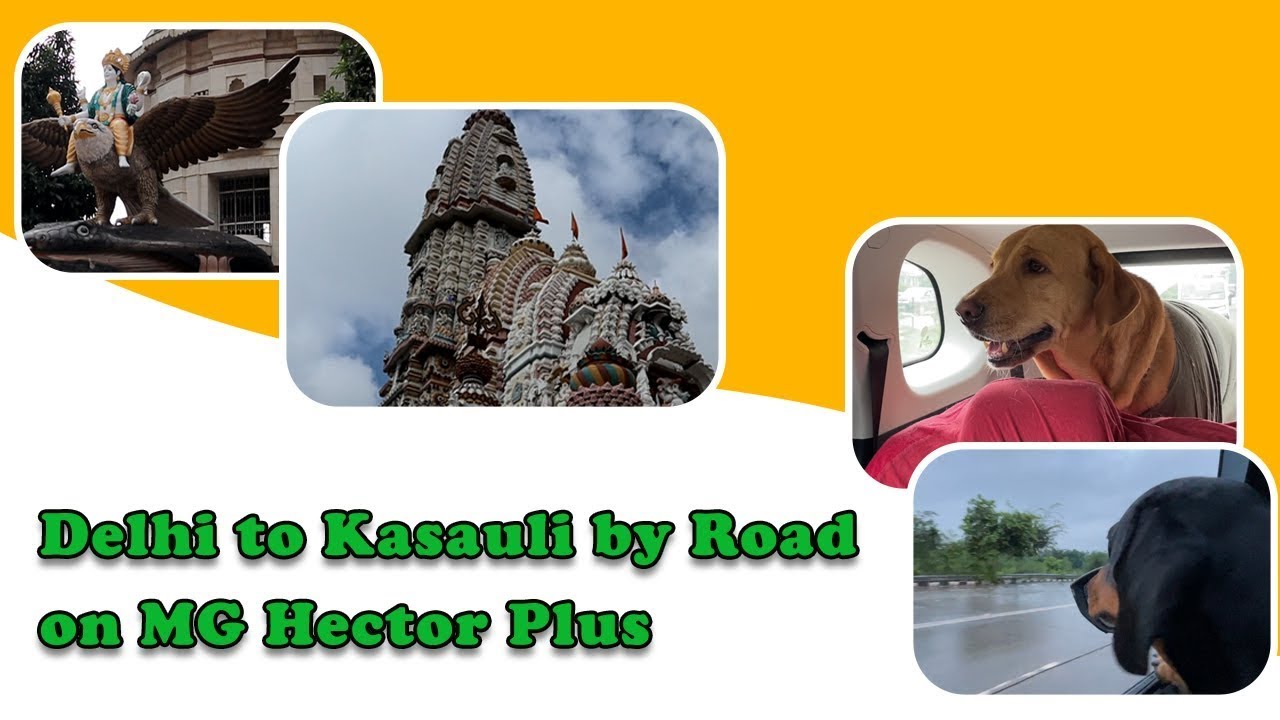 Delhi to Kasauli via Solan, Himachal Pradesh | Road trip with family and Pets | MG Hector Plus