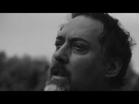 Заплакана весна - Дмитро Коляденко