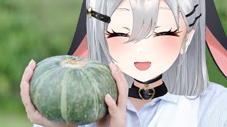 スイカ農家からカボチャ農家になります【スイカゲームってかカボチャゲーム】