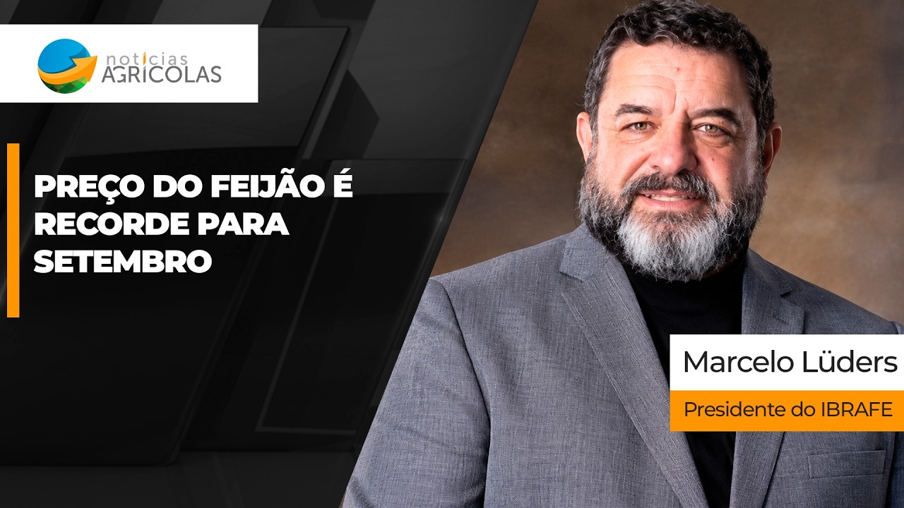 Com oferta menor do que a demanda, preços do feijão sobem e se consolidam na faixa dos R$ 300...