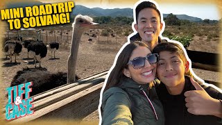 Feeding Ostriches & Testing Out The New Family Car