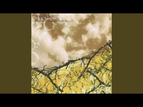 Deep Grey - SUNSGRIND
