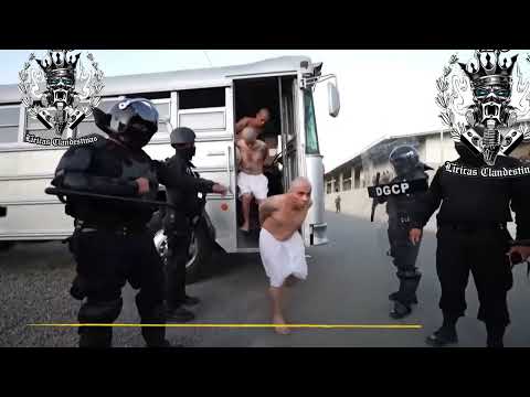 Énfasis- El Trav13so, El Lowkey, El Chubex