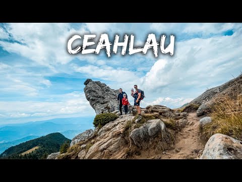 Ceahlau | Toți patru de la Stanile spre Cabana Dochia