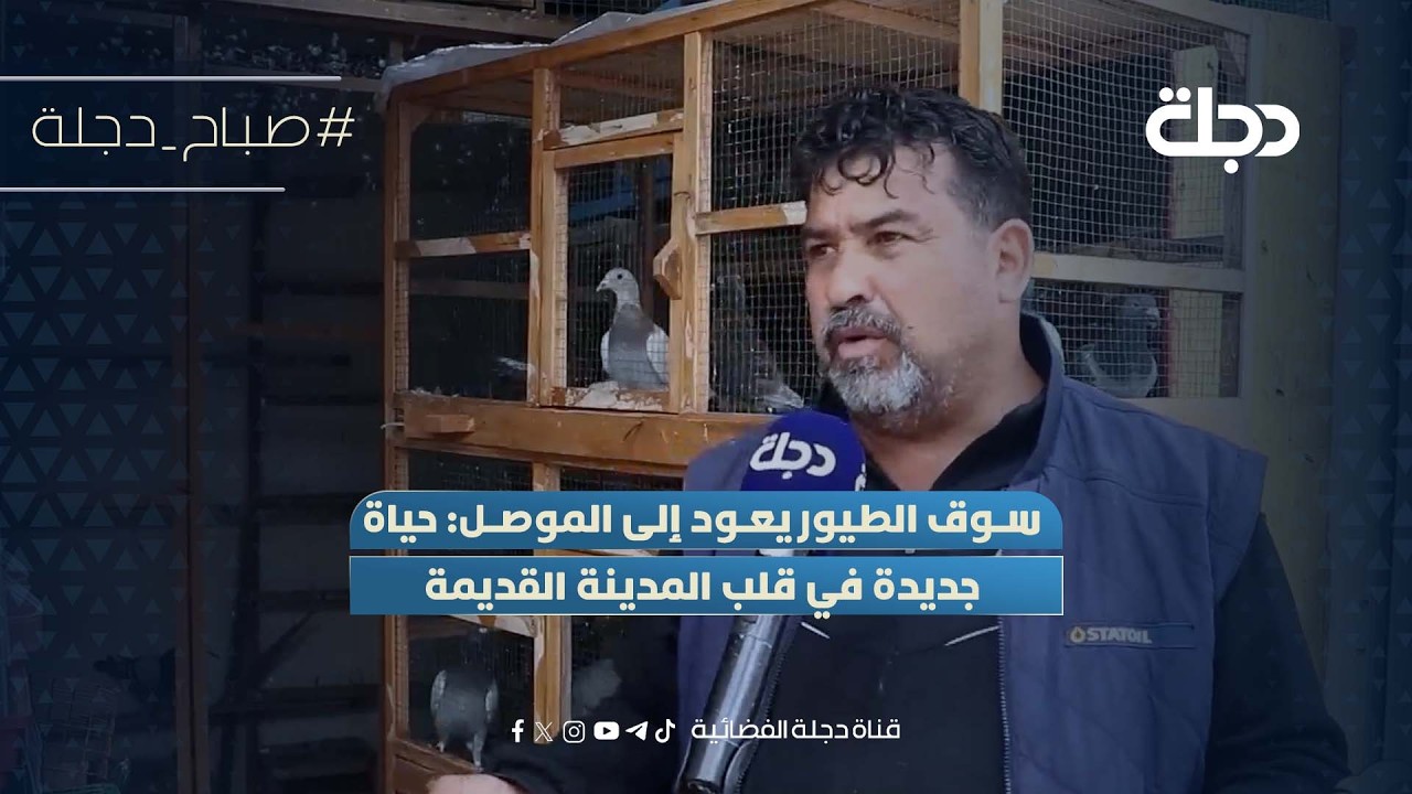 فيديو | سوق الطيور يعود إلى الموصل: حياة جديدة في قلب المدينة القديمة