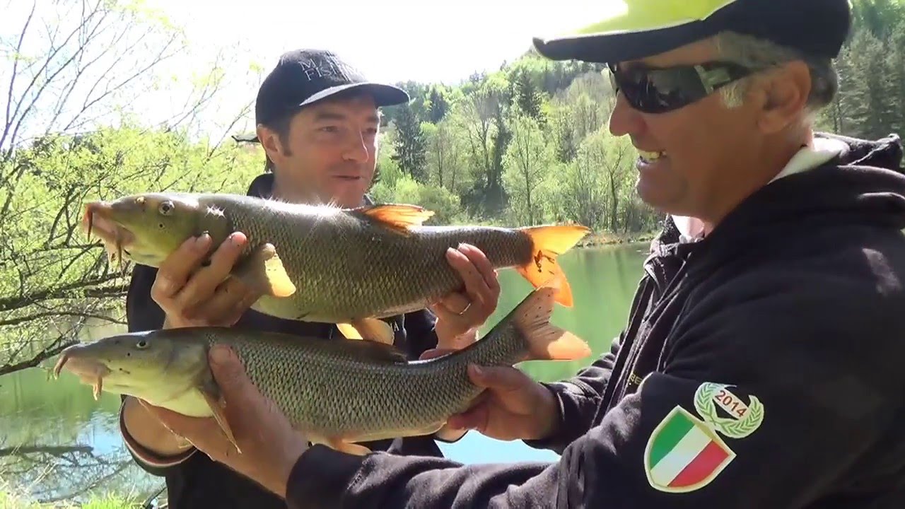 THE GREAT CHALLENGE BETWEEN MATCHFISHING ITALIA WITH ALESSANDRO AND TUBERTINI FEEDER WITH PEPPE