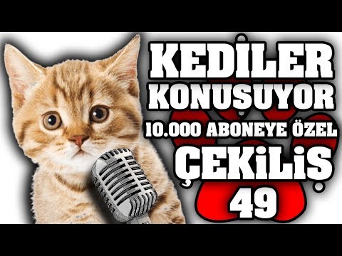 Konuşan Pisiler #49 - 10.000 ABONEYE ÖZEL ÇEKİLİŞ