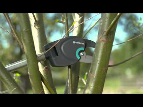 Einfache Baum- und Strauchpflege mit GARDENA
