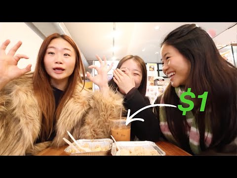 $10 FOOD CHALLENGE IN NYC...(the day we fought)