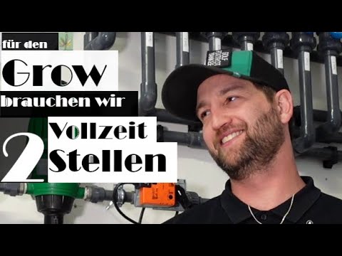 Cannabis im LK Biberach? CSC High Society: wie baut ihr legales Gras an? (Teil 2/2)