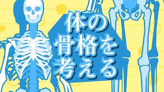 sensei by pixiv 第26回 - 人体 / 体の筋肉コース / 体の骨格を考える