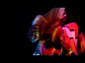 Toyah - Obsolete (Live in Oxford)
