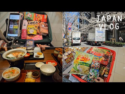 , title : '일본 일상 l 벚꽃 구경, 패밀리 레스토랑에서 조식 먹고 니혼바시에서 게 요리,  마트 장보는 도쿄 일상 브이로그'