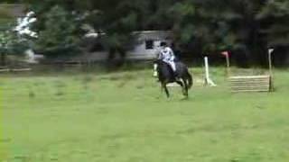 preview picture of video 'Rheidol Riding Centre One Day Event 8th July 2007'