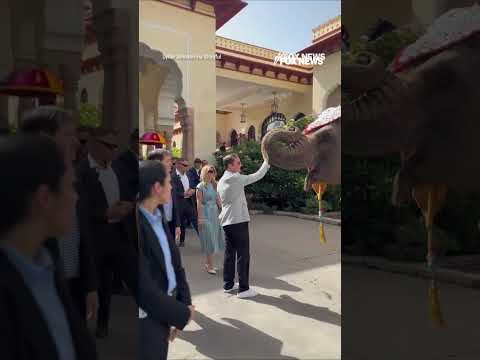 MASSIVE elephant greets Marco Rubio ahead of India meeting #shorts #us #news #rubio #elephant #india