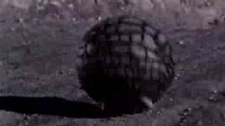 Mighty morphin' power rangers Second Chance