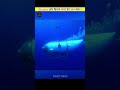 What Happened To The Titanic Submarine