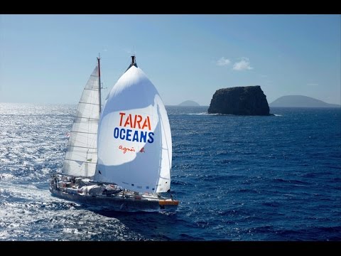 VOS1-05 Full Episode - The Global Tara Oceans Expeditions