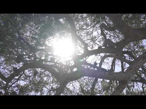 Villa Angelina & Ac Ricevimenti