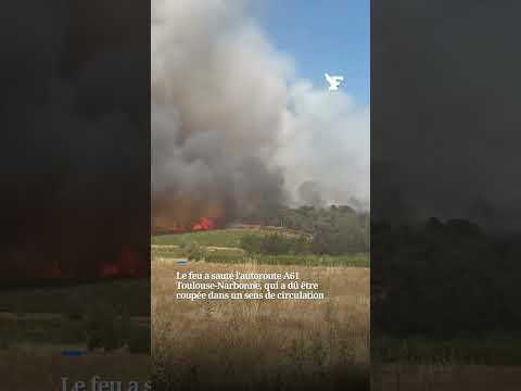 Les images d'un feu de forêt dans l'Aude