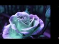 Keyshia Cole-So impossible (with on screen lyrics)!