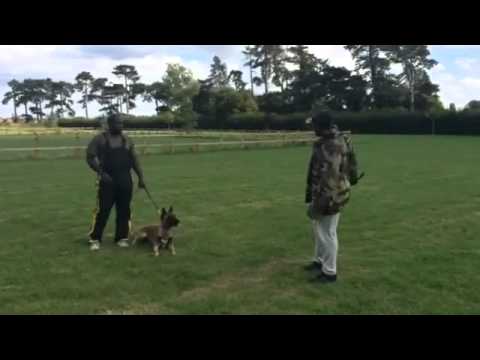 Covert attack on handler