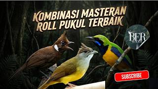 Download lagu SUARA ASLI DIJAMIN JERNIH MASTERAN KOMBINASI CILILIN - CUCAK CUNGKOK - KAPAS TEMBAK mp3