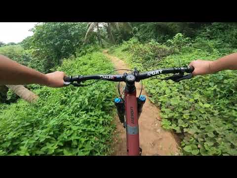Local Trails Adventure with my Giant Reign SX 2020 MTB!