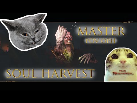 Neverwinter PS5 Soul Harvest master (MSH) - Paladin healer pov